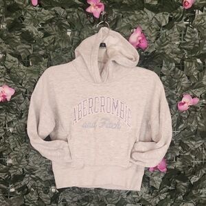 Abercrombie & Fitch Kids Women's Heather Grey Hoodie Sweater